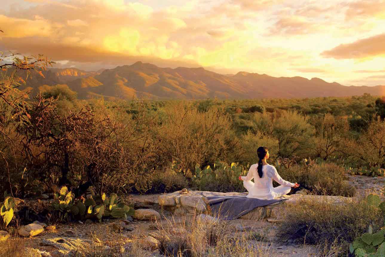 Calm Mind online hypnotherapy for stress and overthinking